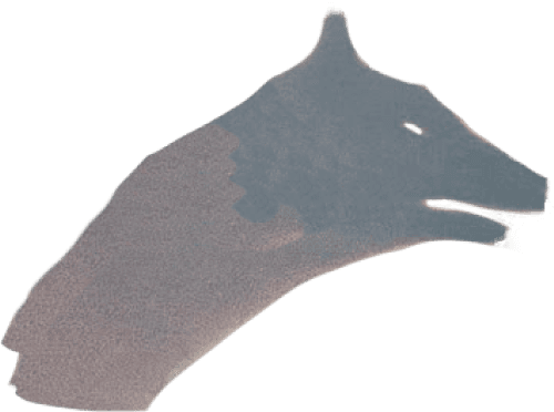 Decorative image as part of the nav menu